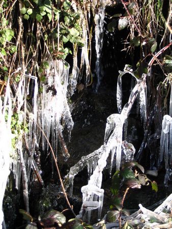 icicles