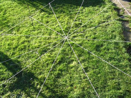 closer view of spiders web in progress