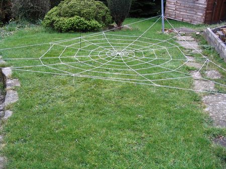 spiders web completed