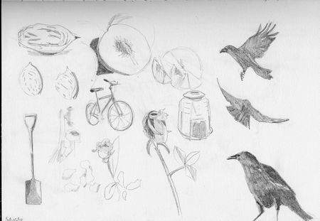 doll and crow studies 3